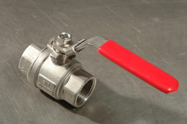 Ball Valve 2-Piece 316 BSP