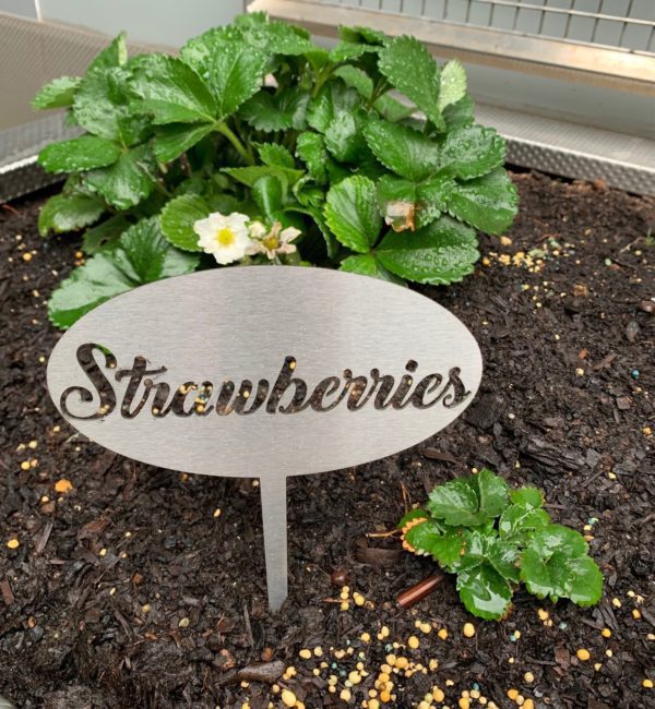 Veggie Stakes - Stainless - 150mm Wide
