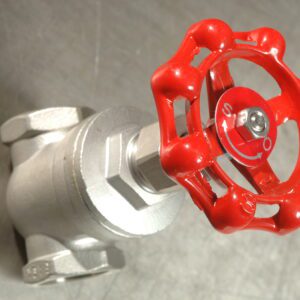 Globe Valve