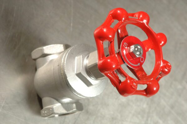 Globe Valve