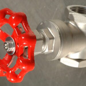 SS Gate Valve 316