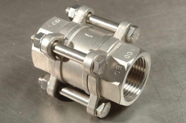 BSP SS 2Pce Spring Check Valve